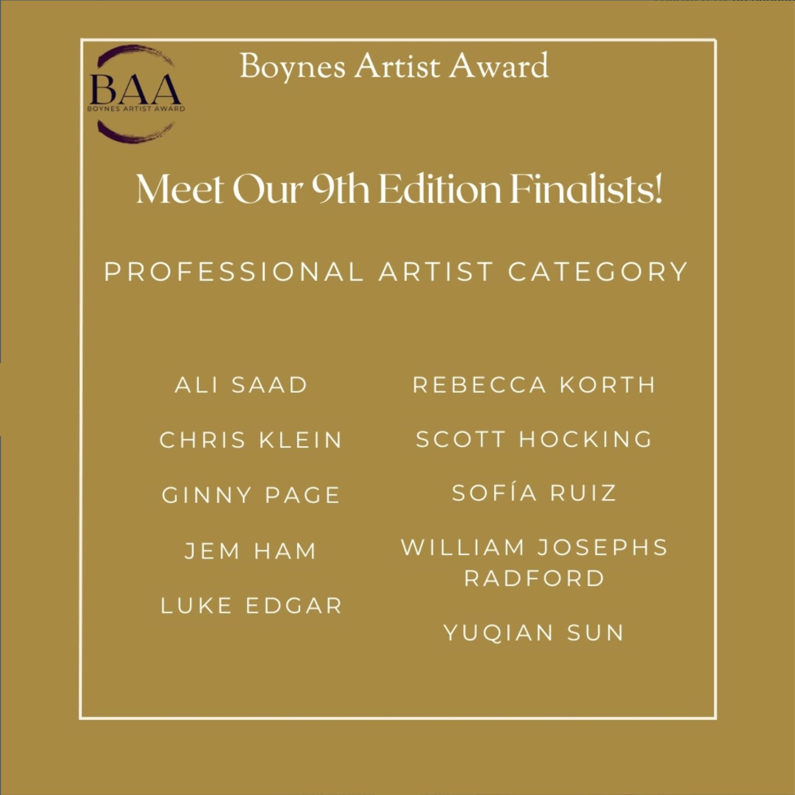 List of finalists for the Boynes Art Award 9th Edition professional art category